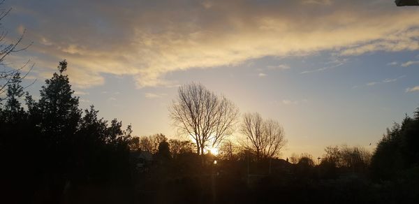 Silhouette trees against sky during sunset