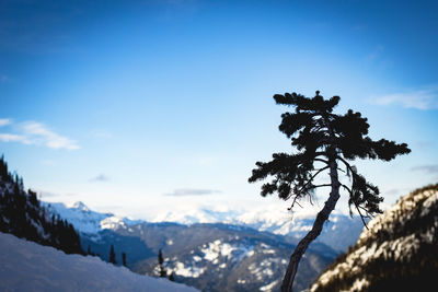 Scenic view of snow covered mountains against blue sky