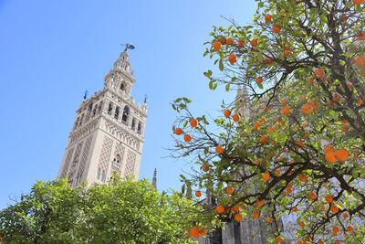 Low angle view of trees and building against sky