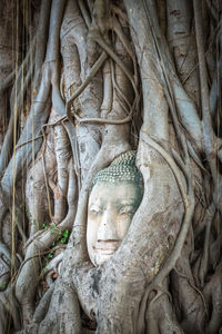 Statue of buddha in temple