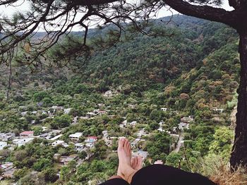 Low section of man and woman in forest