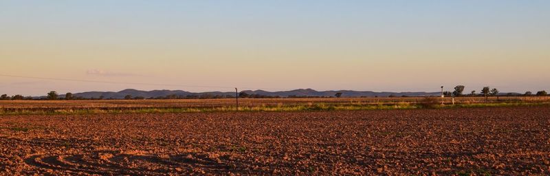 Scenic view of rural landscape