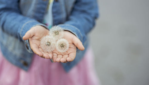 Close-up of baby hand holding leaf