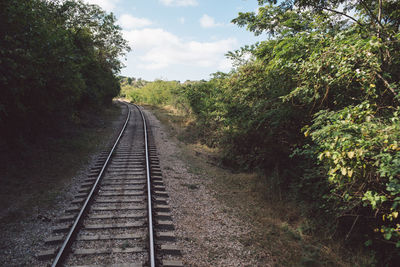 Railroad tracks along trees and plants