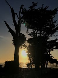 Low angle view of silhouette tree against sky during sunset