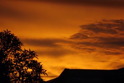 Low angle view of silhouette tree against orange sky