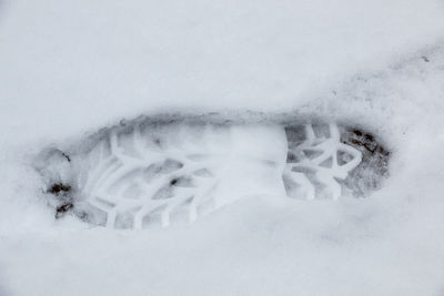 High angle view of snow covered field