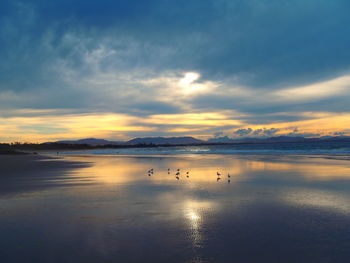 Scenic view of sea at sunset