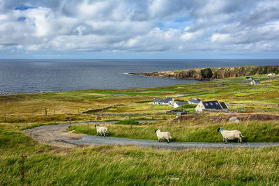 Scenic view of sea against sky