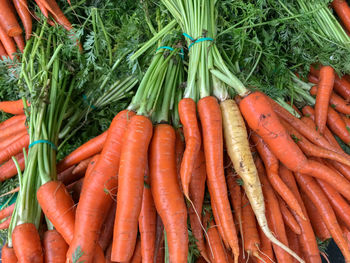 High angle view of carrots in market stall