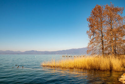 Scenic view of lake against clear blue sky