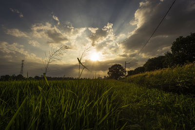 Scenic view of field against sky during sunset