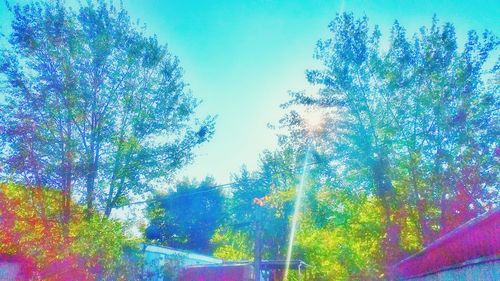 Trees against blue sky