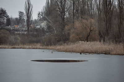 Scenic view of lake in forest