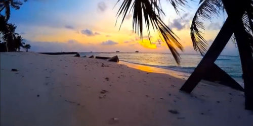 Scenic view of beach during sunset