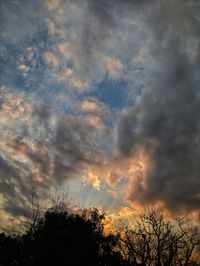 Low angle view of silhouette trees against sky during sunset