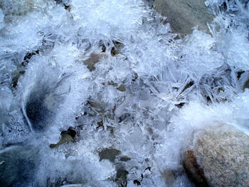 Close-up of water drops on white background