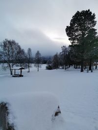 Trees on snow covered field against sky