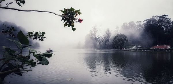 Scenic view of lake by trees against sky