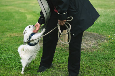 Low section of man with dogs on field