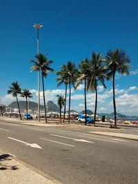 Palm trees on beach against blue sky