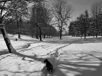 View of a snow covered field