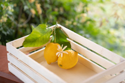 Close-up of orange fruit on table