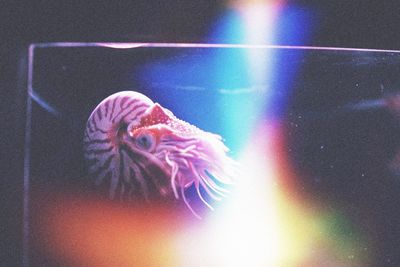 View of multi colored wall