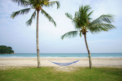 Palm trees on beach against sky