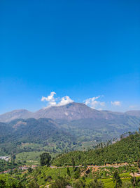 Scenic view of landscape against blue sky