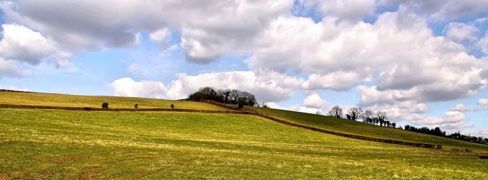 Scenic view of grassy field against cloudy sky