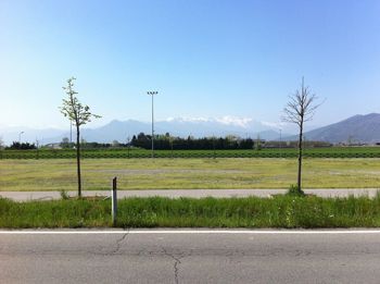 Trees on grassy field against cloudy sky
