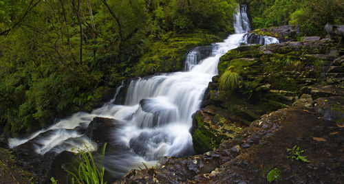 Scenic view of waterfall in forest