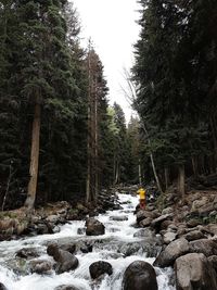 Scenic view of river in forest against sky