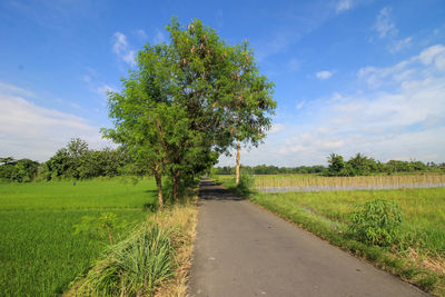 Road amidst field against sky