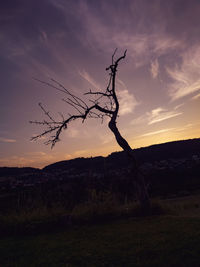nature
