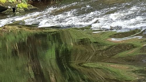 Close-up of water on landscape