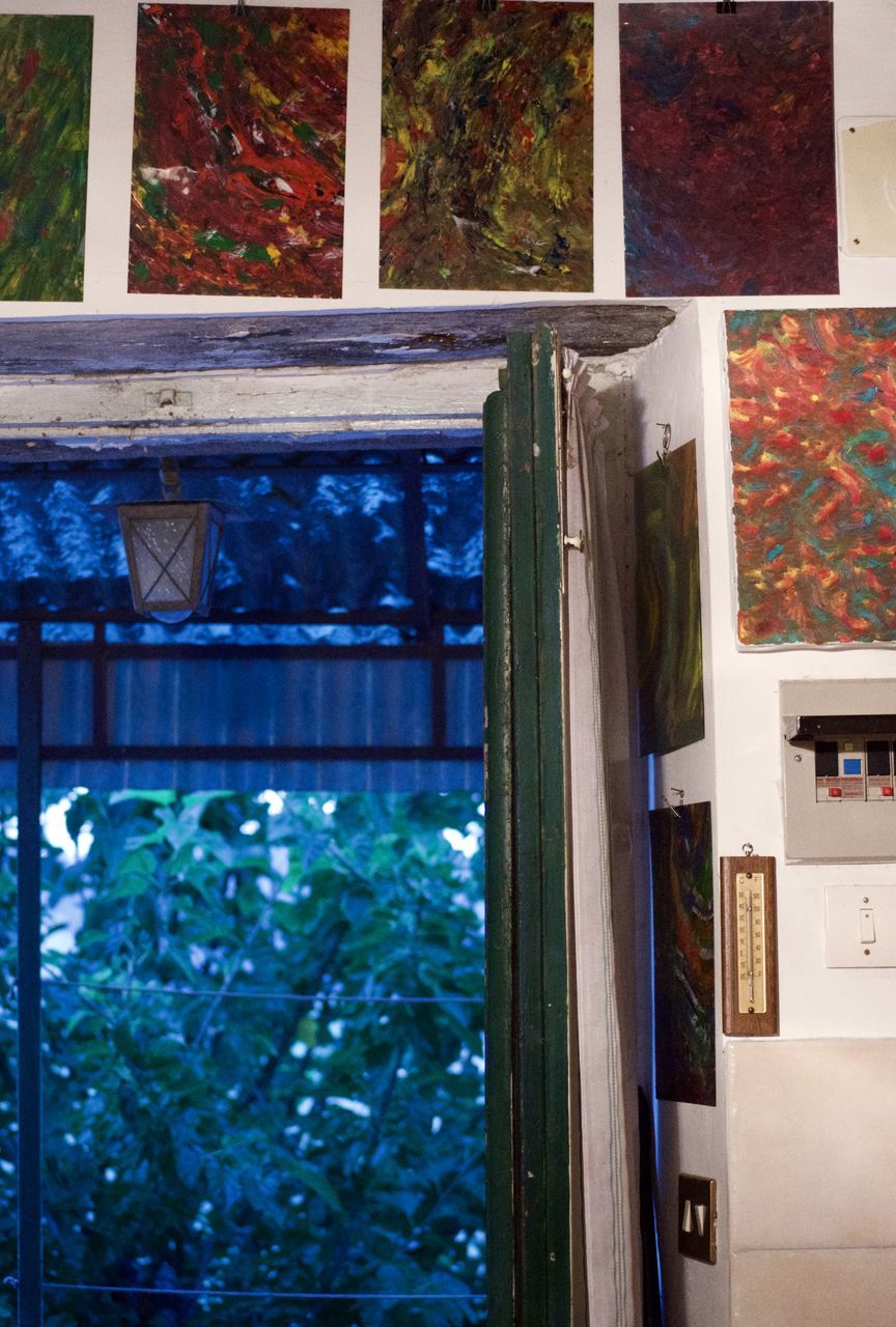 window, no people, plant, glass - material, tree, architecture, day, reflection, built structure, house, nature, transparent, outdoors, building, building exterior, close-up, glass, blue, wood - material, floral pattern, window frame