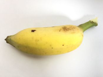 Close-up of fruit against white background