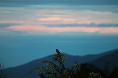 Scenic view of mountain against sky during sunset