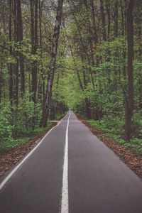 Road amidst trees in forest