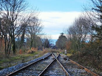 Railway tracks by bare trees against sky