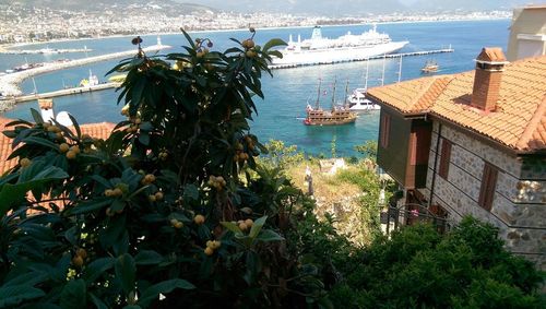 Sailboats in sea