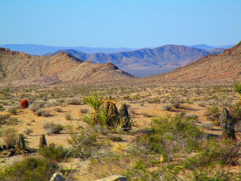 Scenic view of arid landscape against sky
