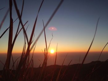 Scenic view of sunset over sea
