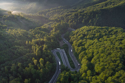 Summer aerial view of transalpina mountain road, at sunrise