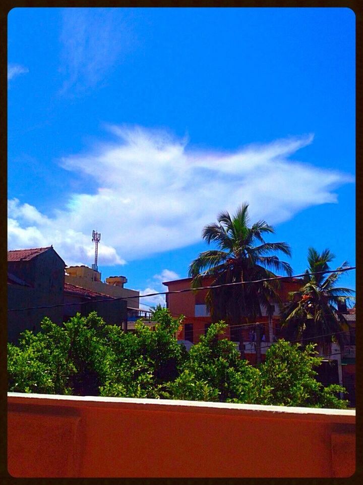 building exterior, architecture, built structure, transfer print, tree, sky, palm tree, auto post production filter, cloud, cloud - sky, growth, city, house, low angle view, residential building, blue, residential structure, plant, building, day