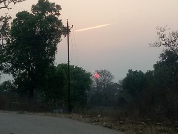 Trees against sky during sunset