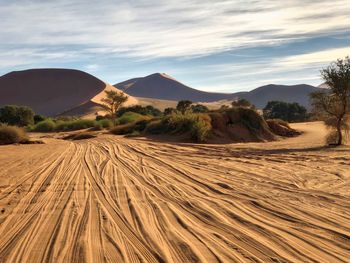 Scenic view of desert against sky