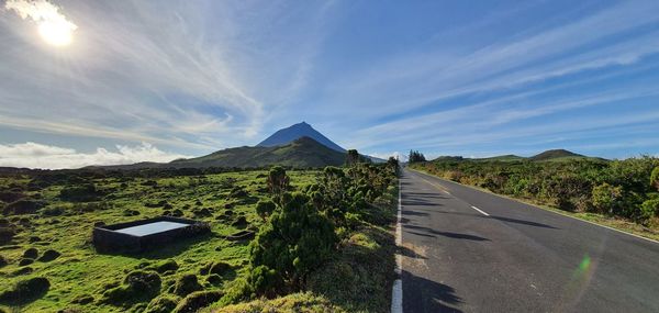 Road amidst plants against sky